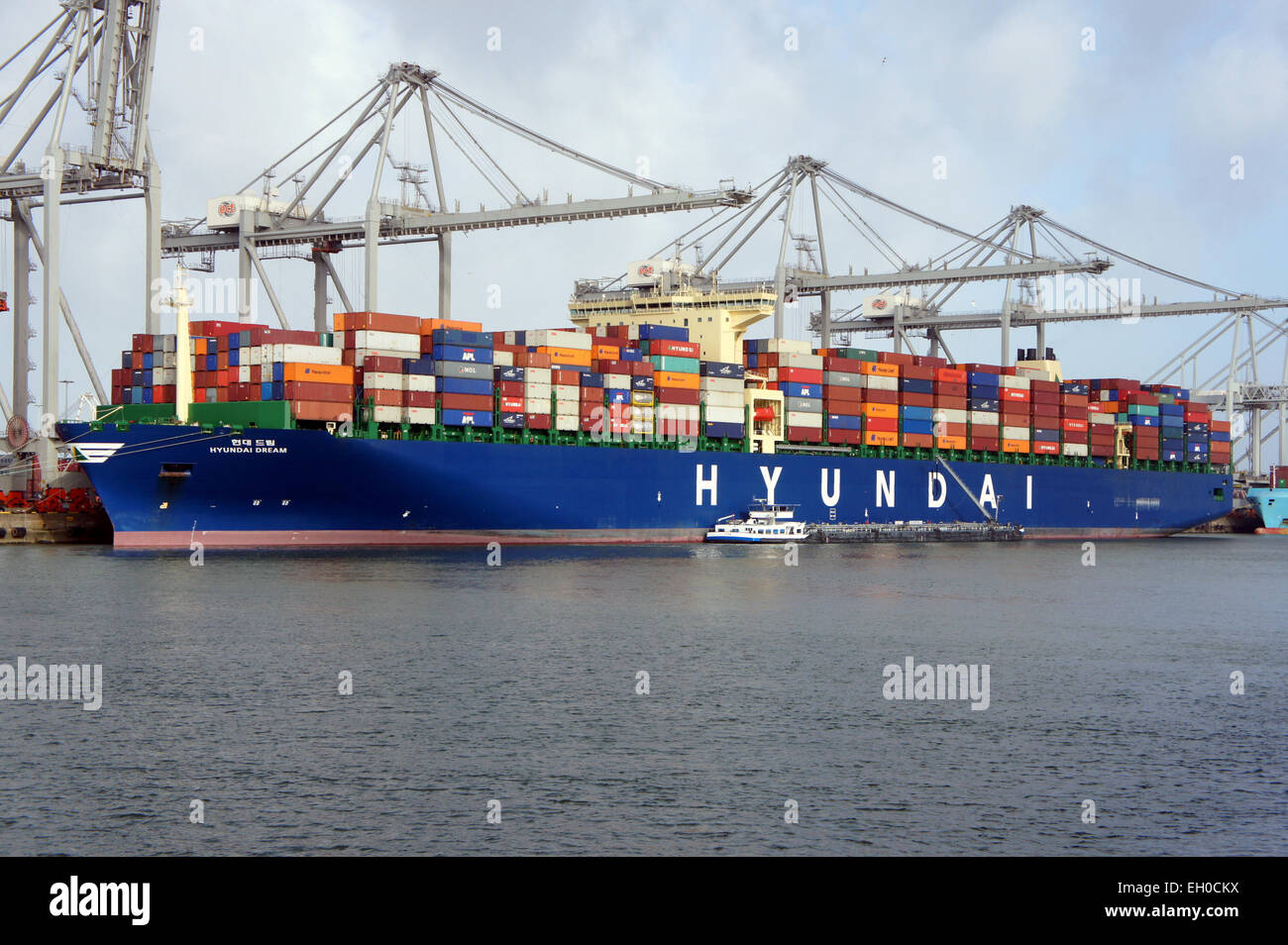 Il sogno Hyundai, IMO 9637222, attraccò ad Amazonehaven nel porto di Rotterdam. Questa nave opera nel settore del trasporto di container, contribuendo alle operazioni commerciali globali. Foto Stock