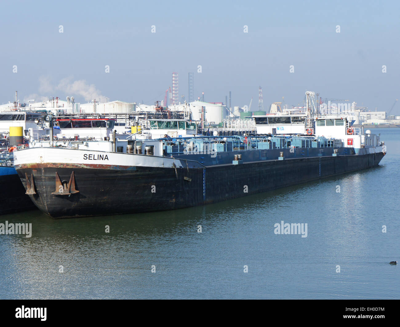 La Selina, identificata da ENI 05301240, è una nave situata presso la 3e Petroleumhaven nel porto di Rotterdam. Questa sede è un'area industriale fondamentale per la movimentazione e lo stoccaggio delle merci nei Paesi Bassi. Foto Stock