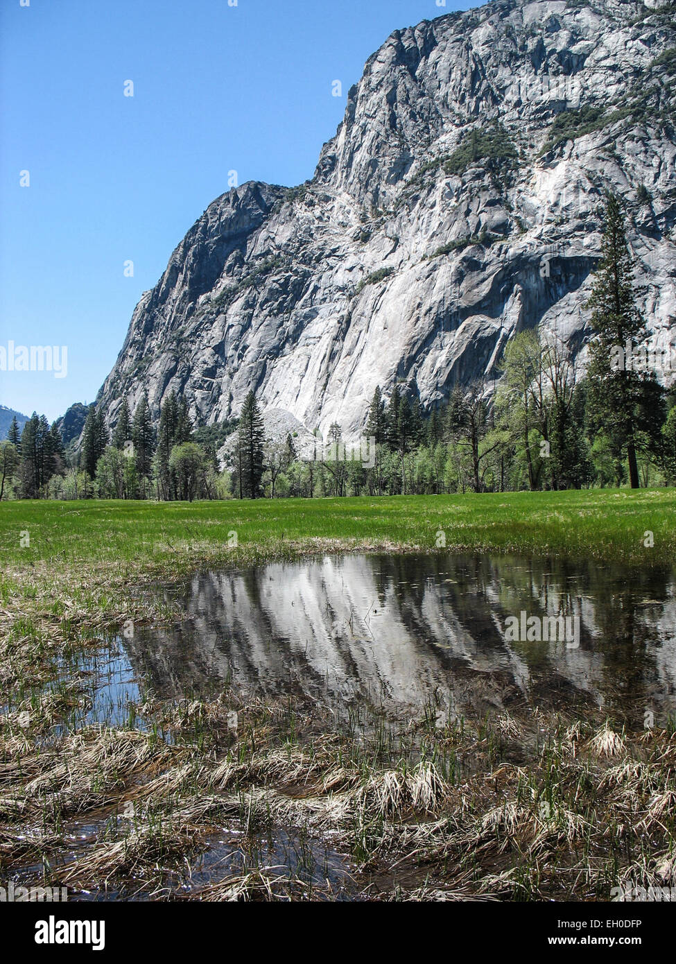 Il Parco Nazionale di Yosemite, patrimonio dell'umanità dell'UNESCO, sta affrontando gli impatti del cambiamento climatico. I suoi diversi ecosistemi, dai prati alle montagne, sono in fase di studio per la loro risposta alle mutevoli condizioni ambientali. Foto Stock