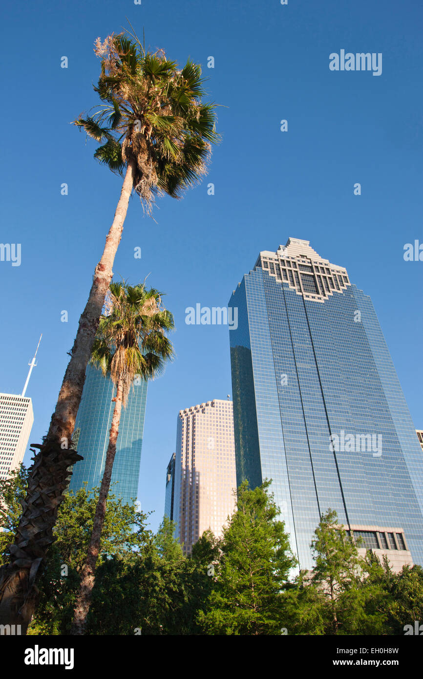 Palme Sam Houston Park skyline del centro di Houston Texas USA Foto Stock