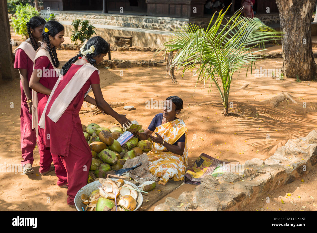 Donna vendita di noci di cocco per studentesse a DakshinaChitra Heritage Museum vicino a Chennai, Tamil Nadu, nell India meridionale Foto Stock