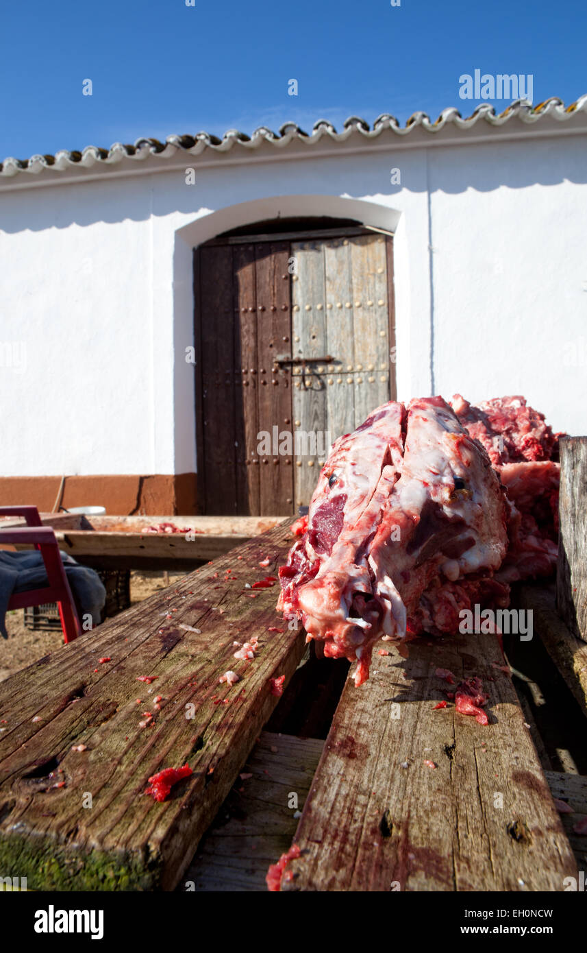 Pezzi di maiale su un tavolo di legno. Casa Tradizionale la macellazione in un area rurale, Estremadura, Spagna Foto Stock