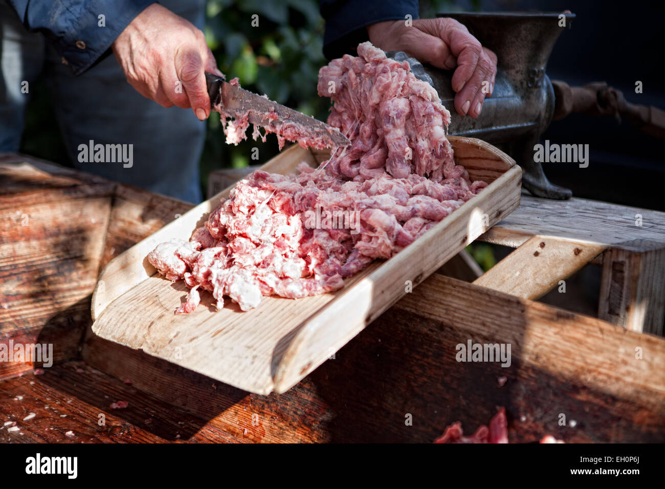 Macinazione di tritacarne e un mucchio di carne tritata. Casa Tradizionale la macellazione in un area rurale, Estremadura, Spagna Foto Stock