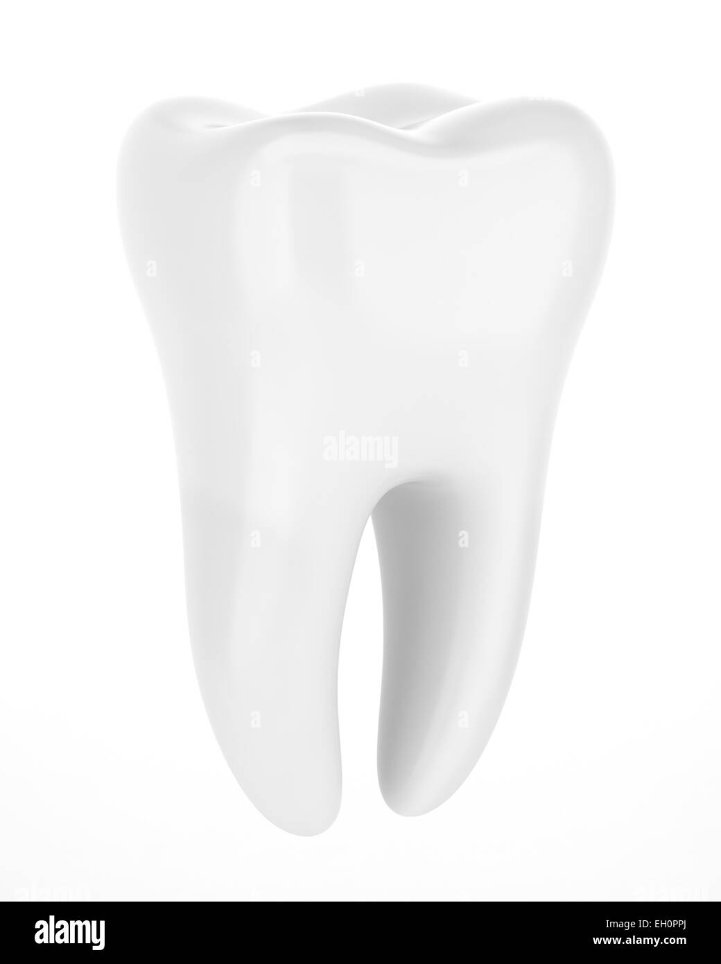 3d dente umano isolato su sfondo bianco Foto Stock