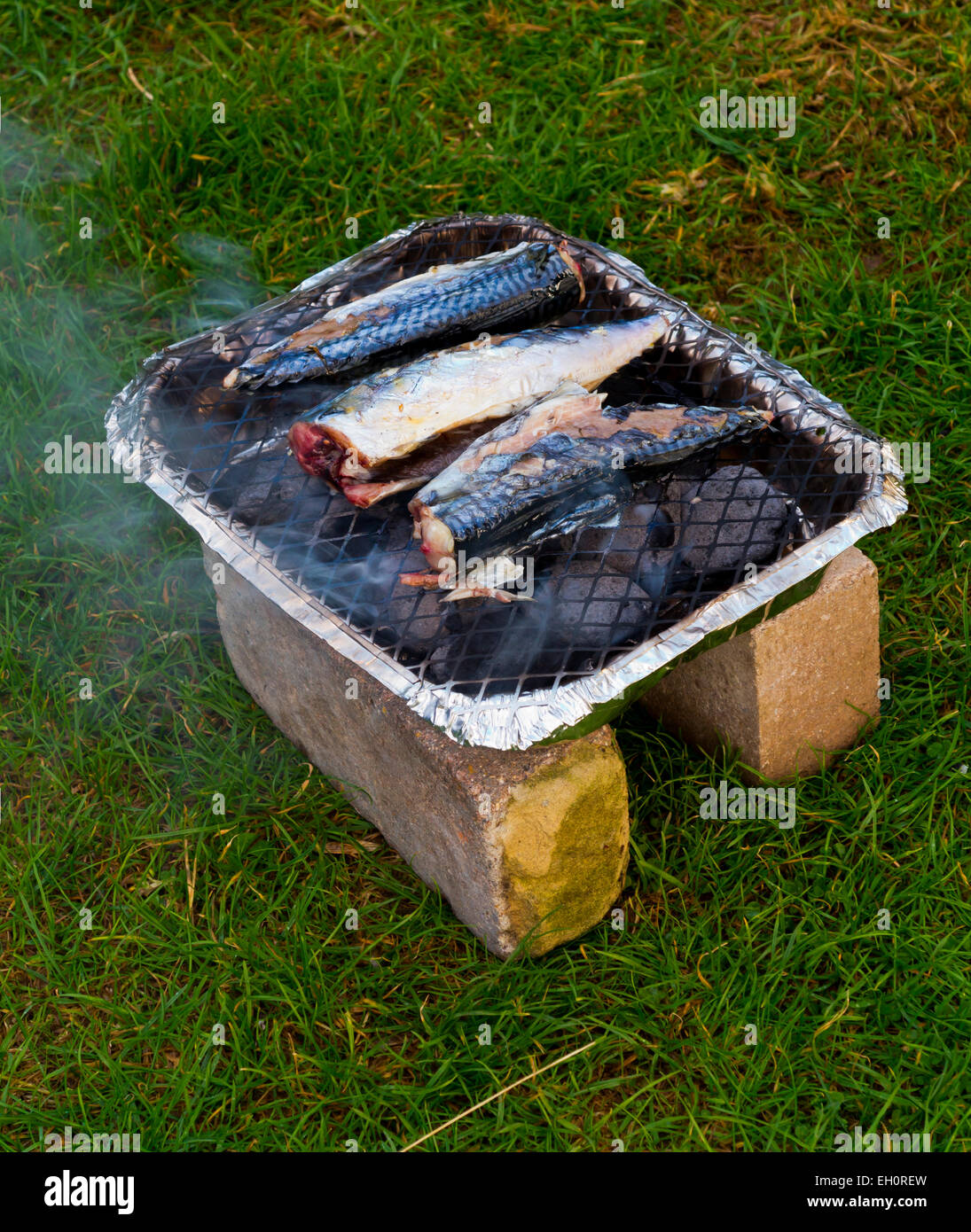 Appena pescato il pesce sgombro cottura su un barbecue monouso montato su due mattoni sull'erba per impedire la masterizzazione di massa Foto Stock