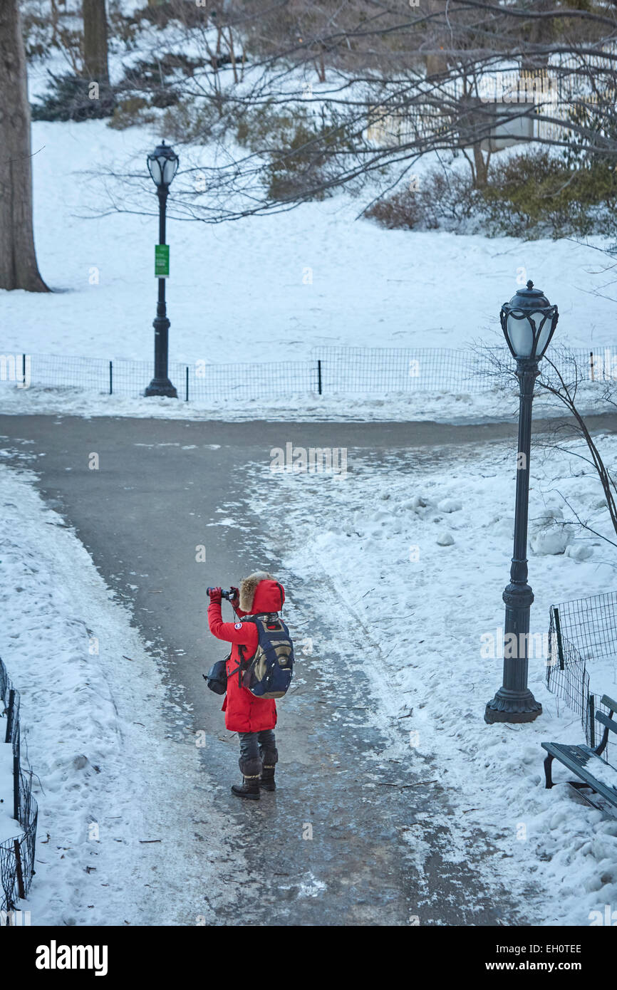 Il freddo Central Park nella neve, Manhattan a New York City Foto Stock