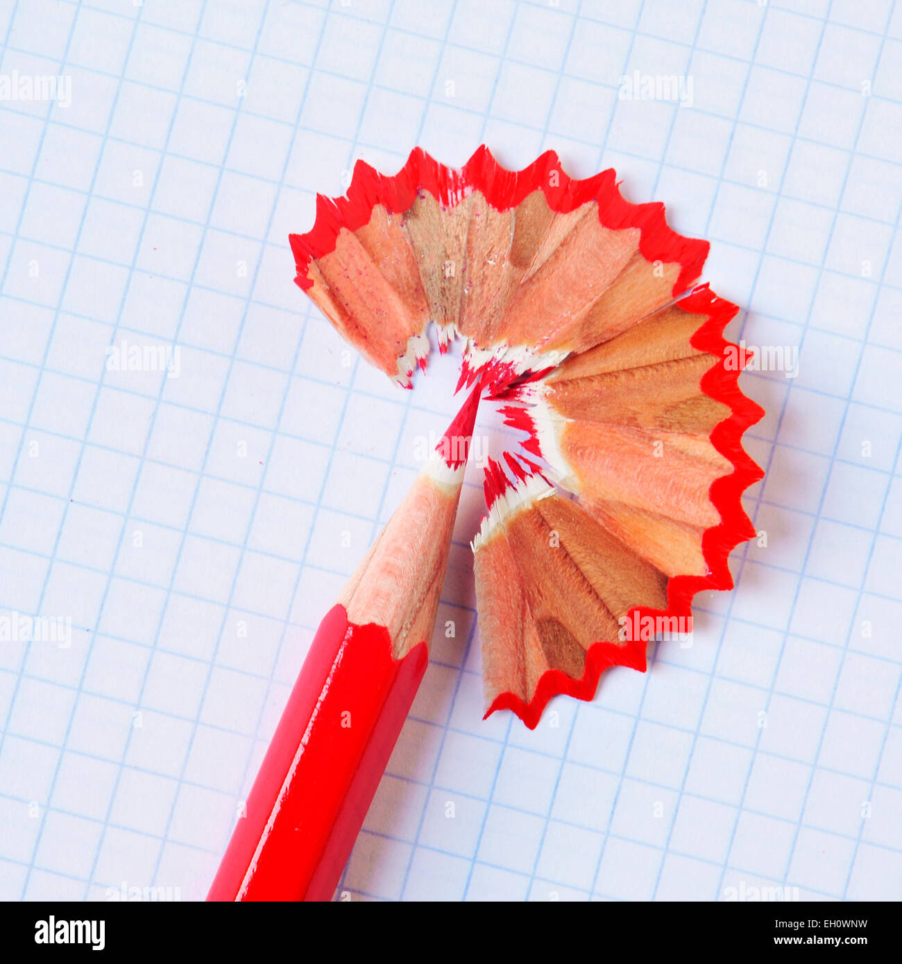 Un affilato rosso matita colorata con la sua truciolo su una a scacchi il foglio di carta Foto Stock