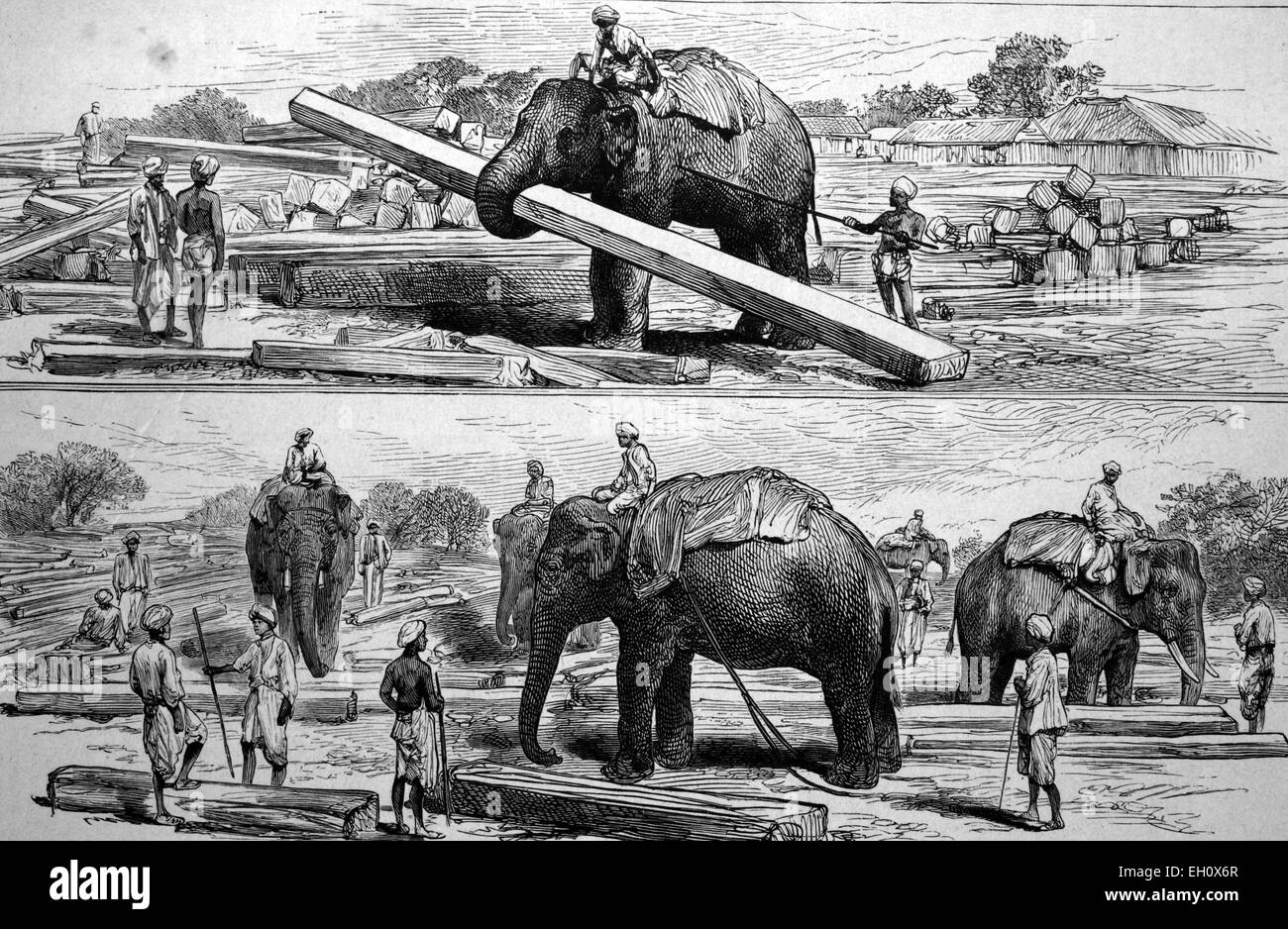 Gli elefanti al lavoro in Birmania, storico illustrazione, circa 1886 Foto Stock