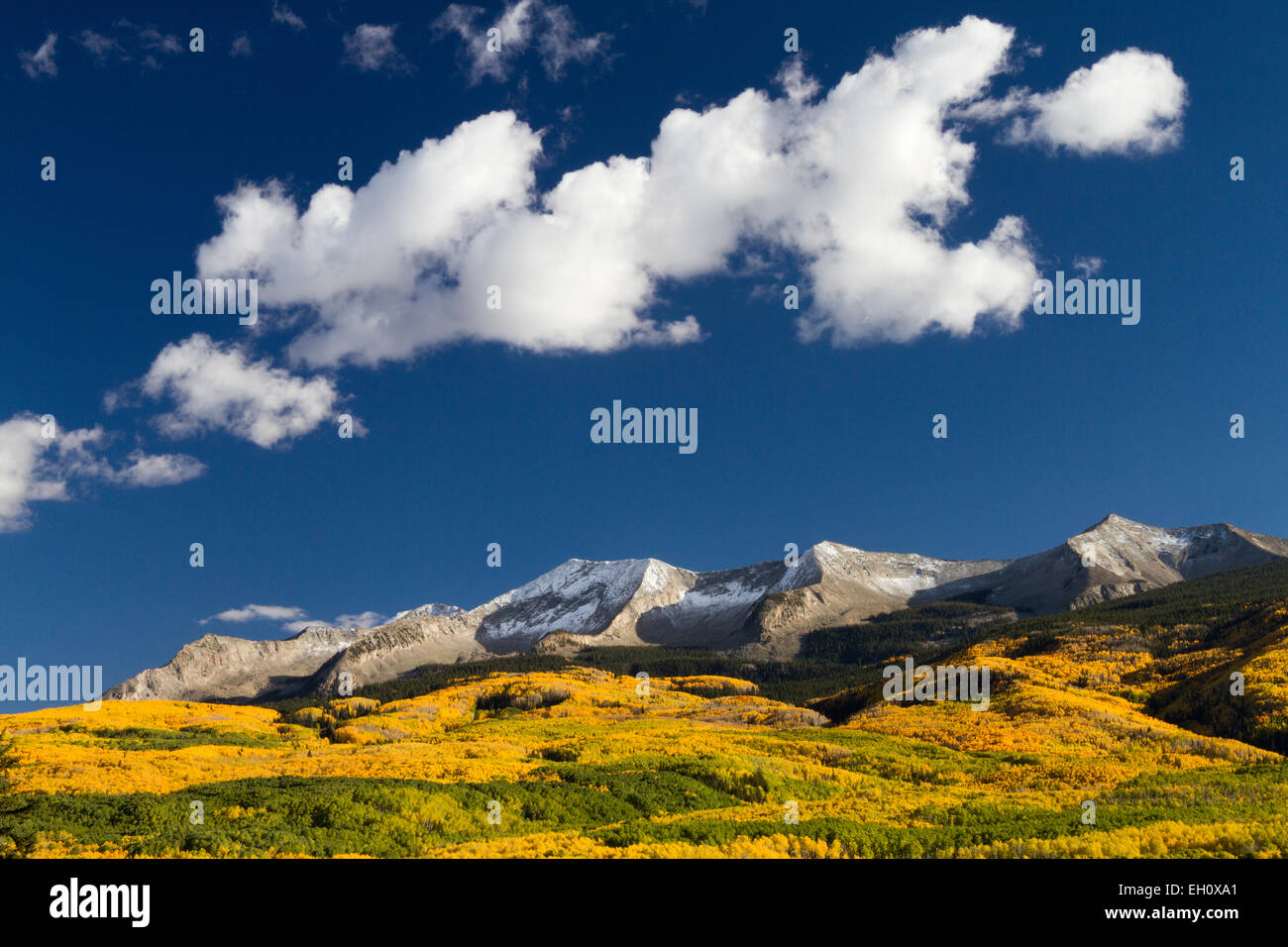 Paesaggio autunnale la Foresta Nazionale di Gunnison, Colorado Foto Stock