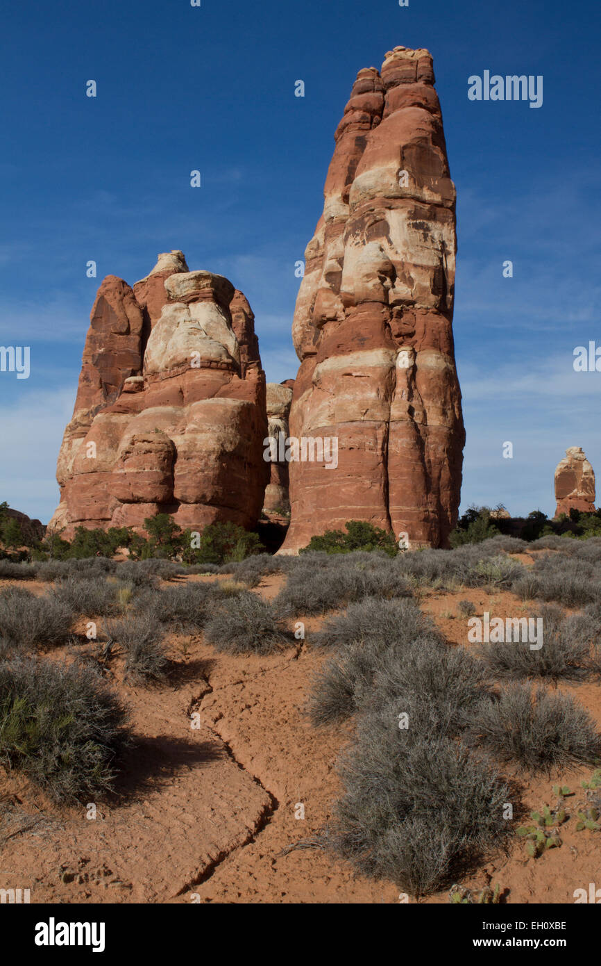 Le formazioni rocciose nel Parco Nazionale di Canyonlands, Utah Foto Stock