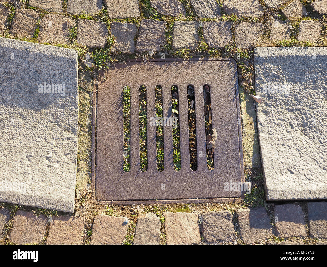 Scarico griglia di scolo di acqua piovana raccolta Foto stock - Alamy