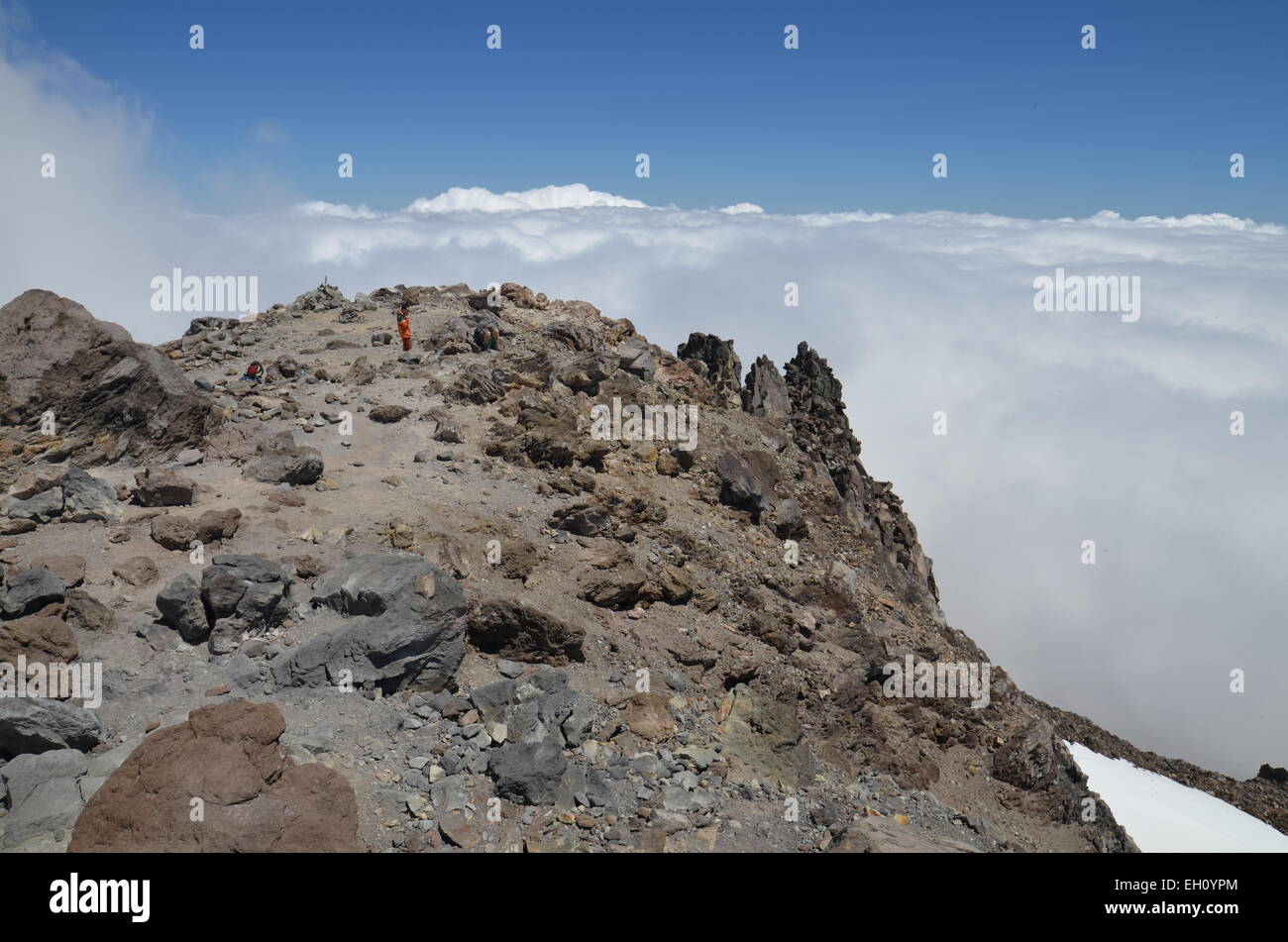 Al di sopra delle nuvole sulla vetta del Monte taranaki in Nuova Zelanda Foto Stock