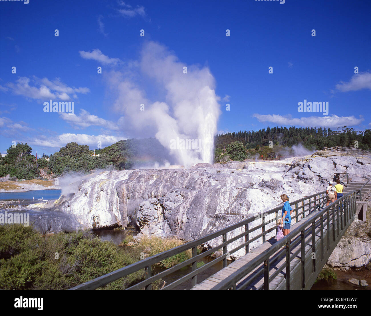 Il Principe di Galles piume geyser che erutta, Te Puia Valle termico, Rotorua, Baia di Planty Regione, Isola del nord, Nuova Zelanda Foto Stock