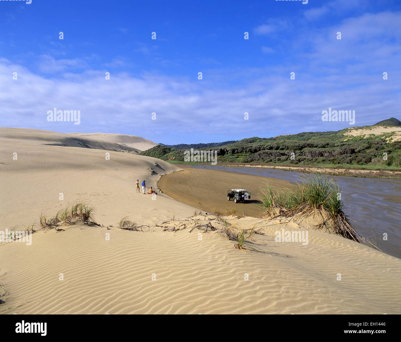Giant Te Paki dune di sabbia, Te Paki, Cape Reinga, regione di Northland, Isola del nord, Nuova Zelanda Foto Stock