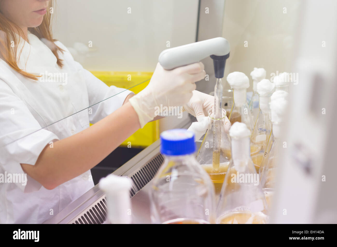 La vita dello scienziato ricerca in laboratorio. Foto Stock