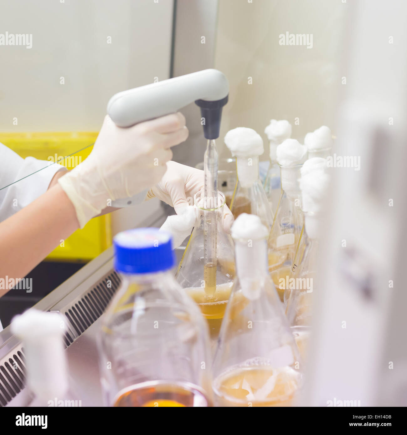 La vita dello scienziato ricerca in laboratorio. Foto Stock