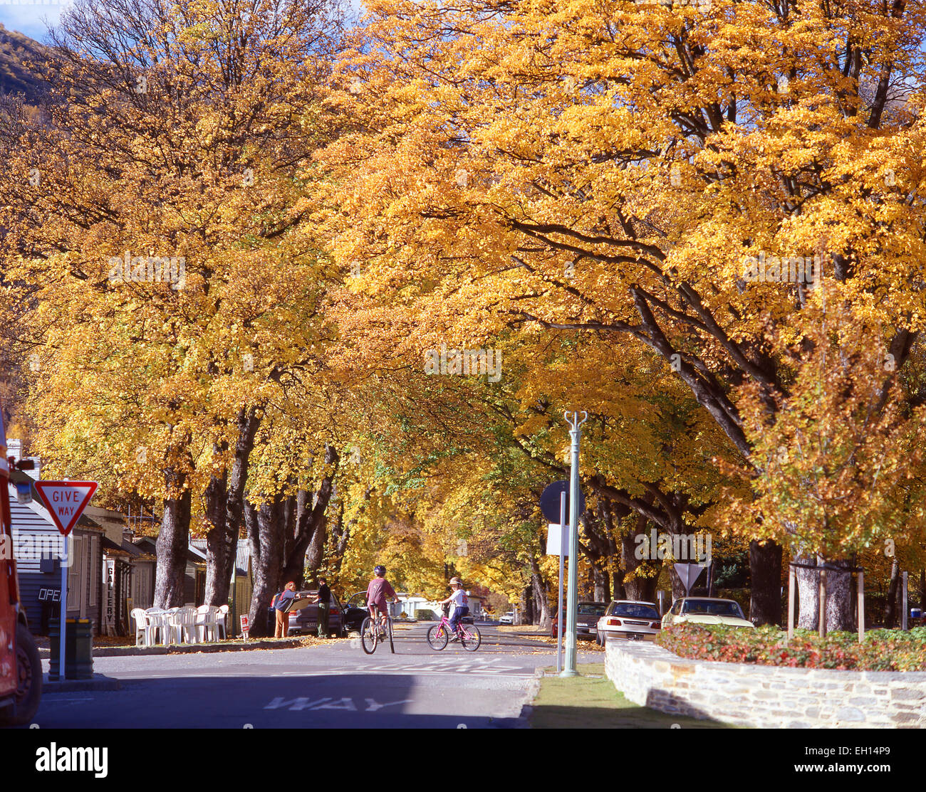 I colori autunnali, Buckingham Street, Arrowtown, Regione di Otago, Isola del Sud, Nuova Zelanda Foto Stock