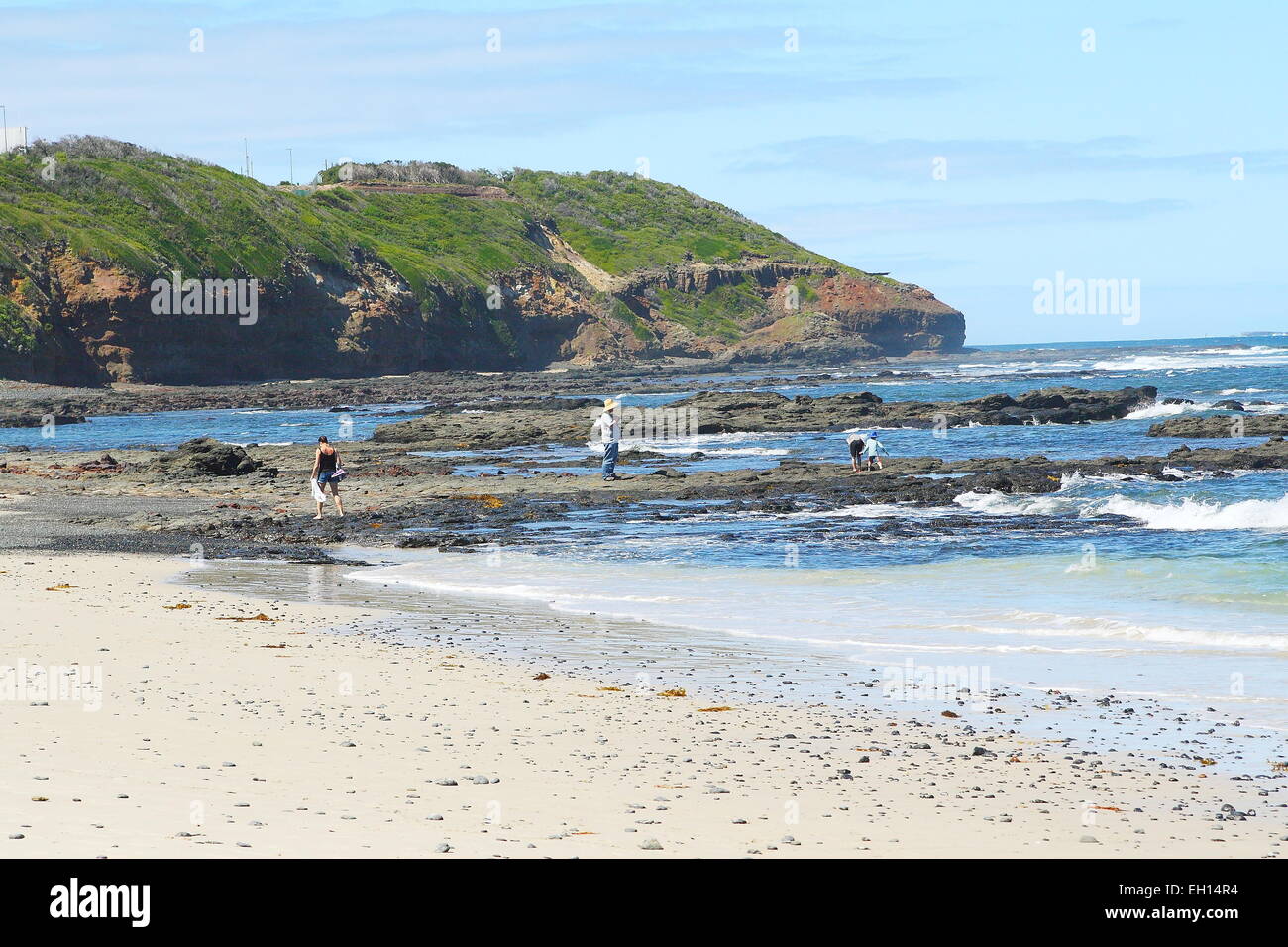 Fungo reef Marine Sanctuary Penisola di Mornington Foto Stock