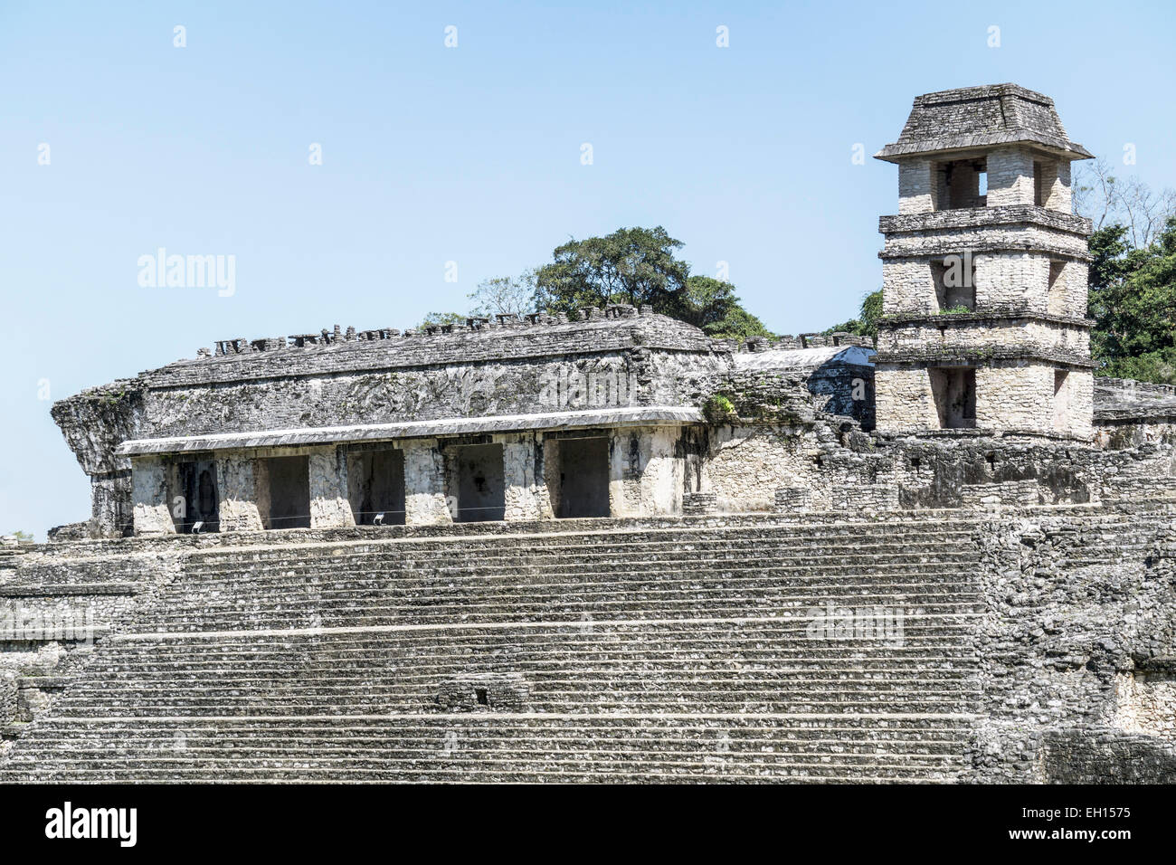 Sezione superiore lato ovest Mayan Palace Palacio complesso edilizio con west gallery scale principali & torre ristrutturata Palenque Foto Stock