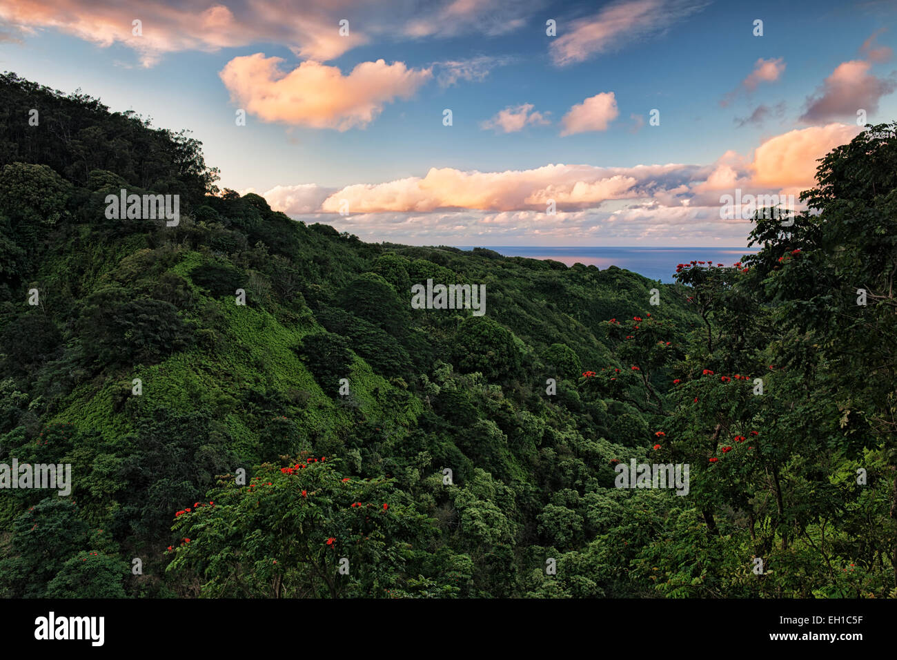 La Strada di Hana offre spettacolari vedute della lussureggiante vegetazione e l'Oceano Pacifico sulla Hawaii isola di Maui. Foto Stock