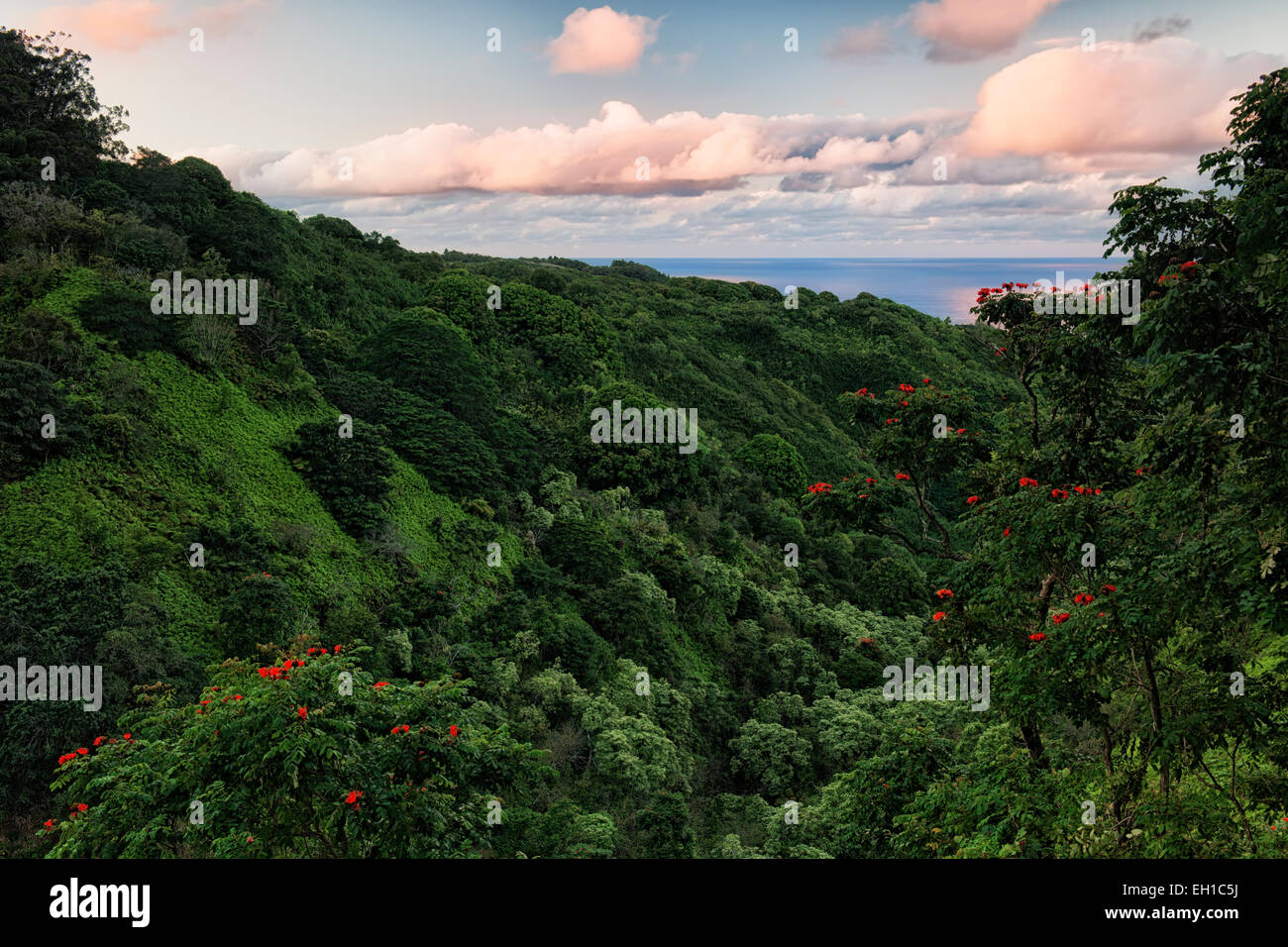 La Strada di Hana offre spettacolari vedute della lussureggiante vegetazione e l'Oceano Pacifico sulla Hawaii isola di Maui. Foto Stock