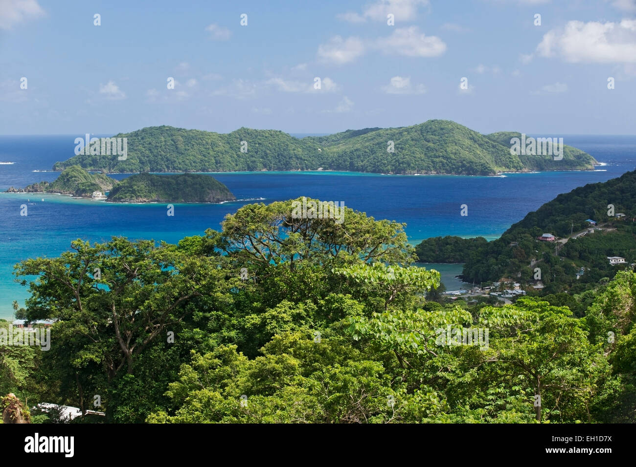 Vista della piccola isola di Tobago con spiaggia, oceano e paesaggi, di Trinidad e Tobago Foto Stock