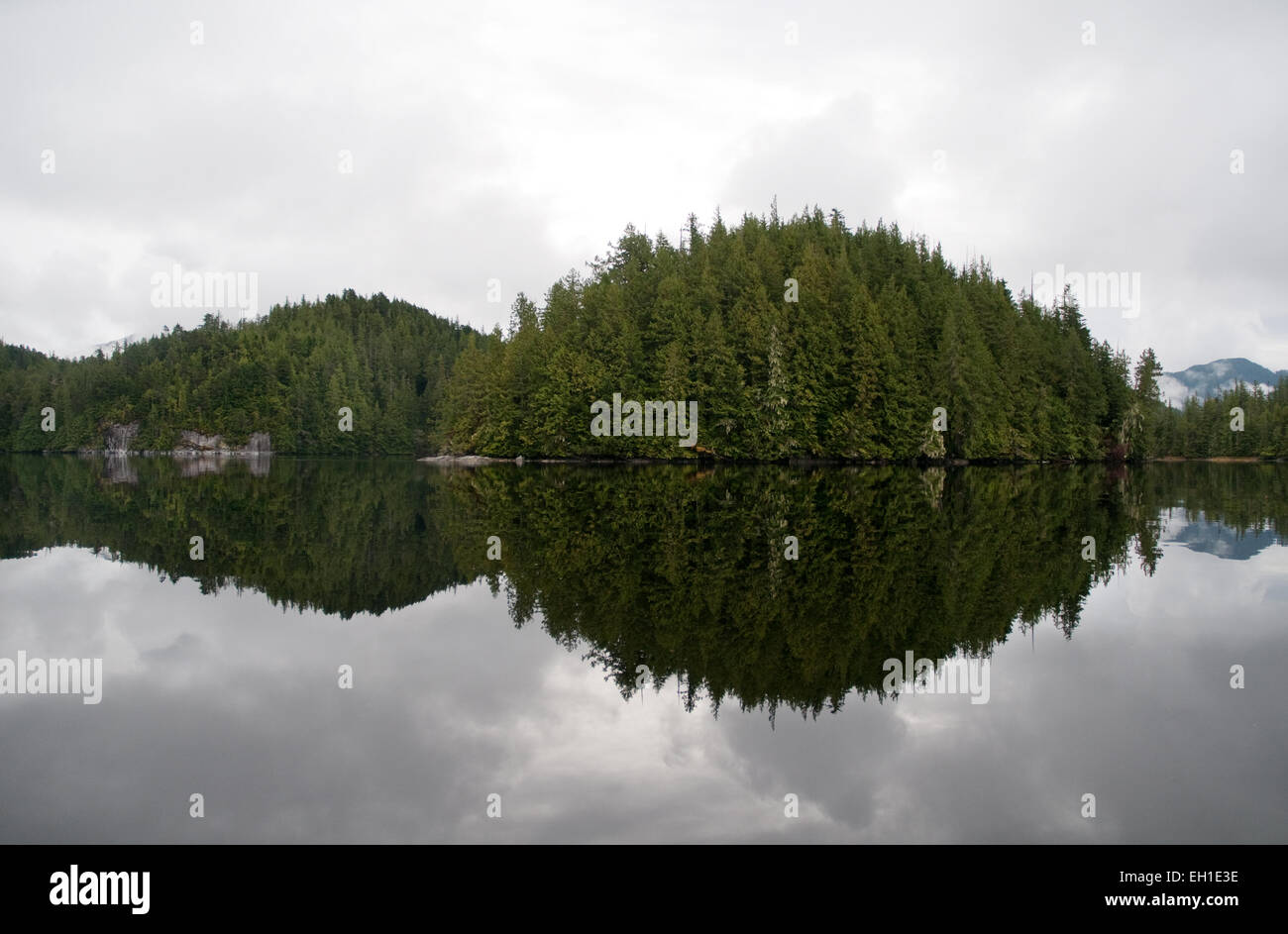 Isole boschive riflessa nelle tranquille acque del Pacifico in British Columbia grande orso nella foresta pluviale, Canada. Foto Stock