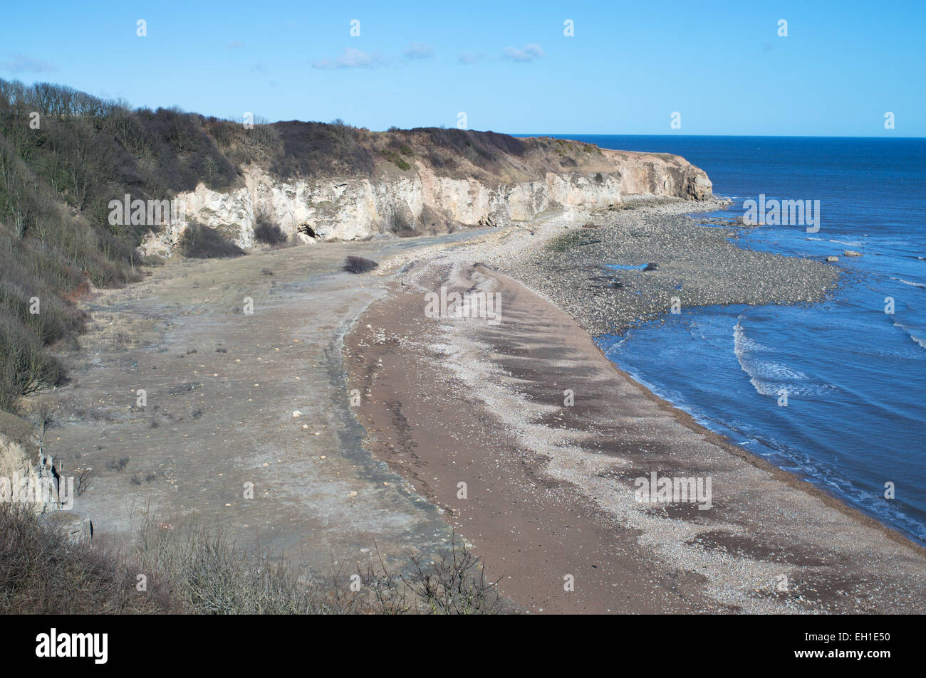 Biancospino Hive spiaggia vicino Easington Colliery North East England, Regno Unito Foto Stock