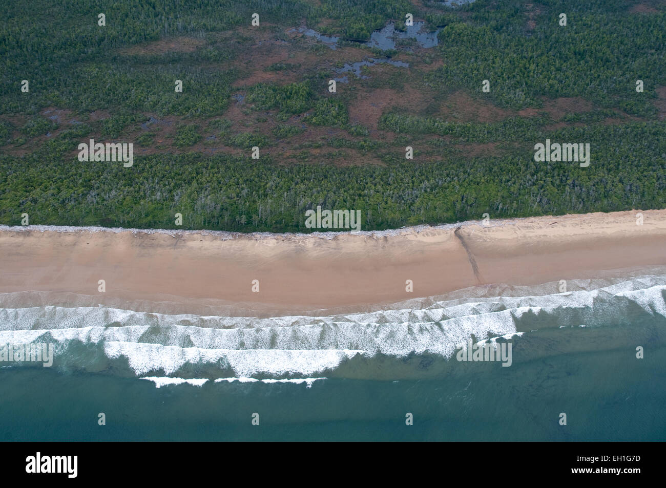 Una veduta aerea di Burnett Bay, un telecomando tratto di spiaggia nella grande orso nella foresta pluviale, British Columbia, Canada. Foto Stock