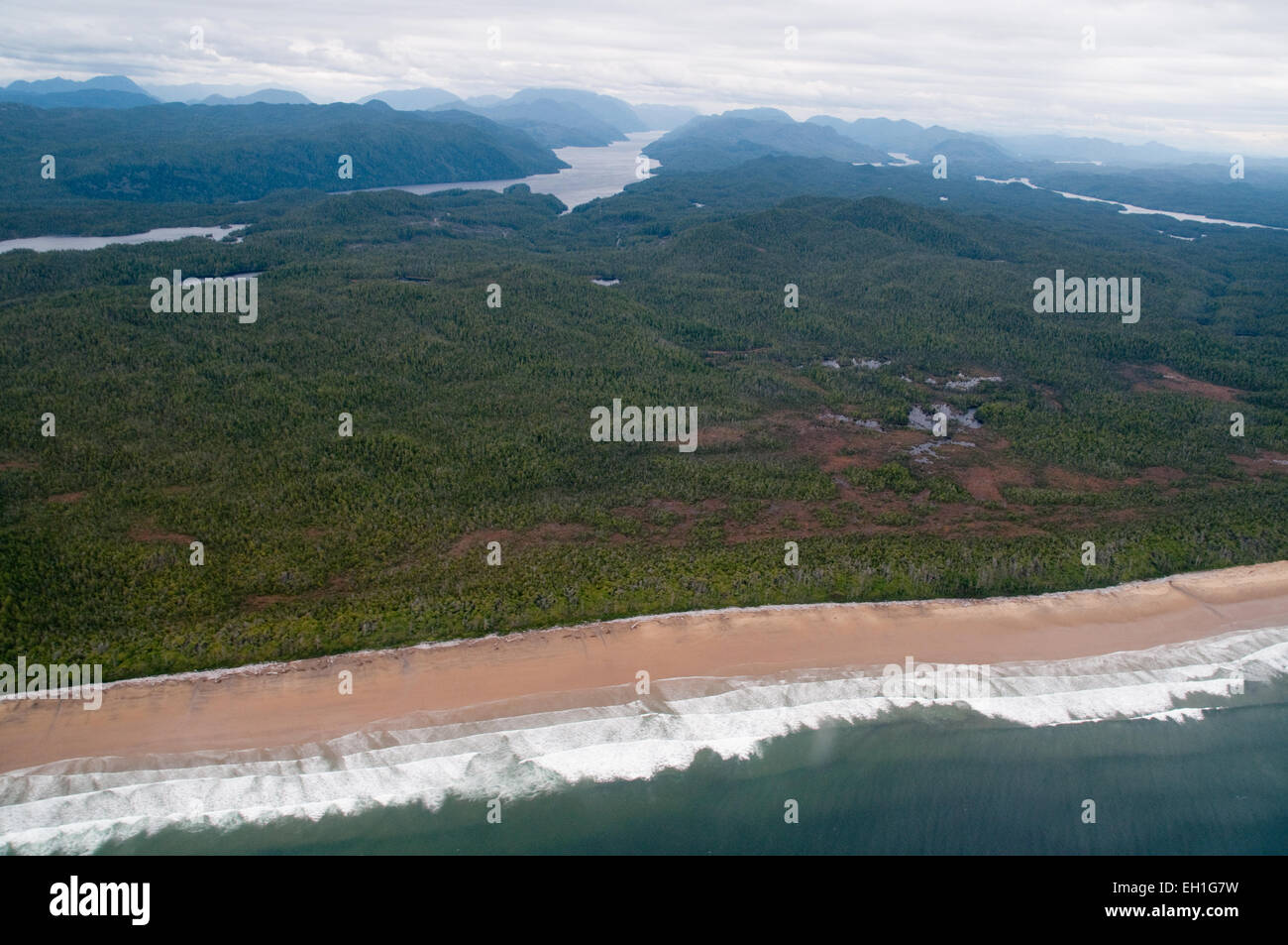 Una veduta aerea di remote Burnett Beach e il Belize, Ingresso nel grande orso nella foresta pluviale, British Columbia, Canada. Foto Stock