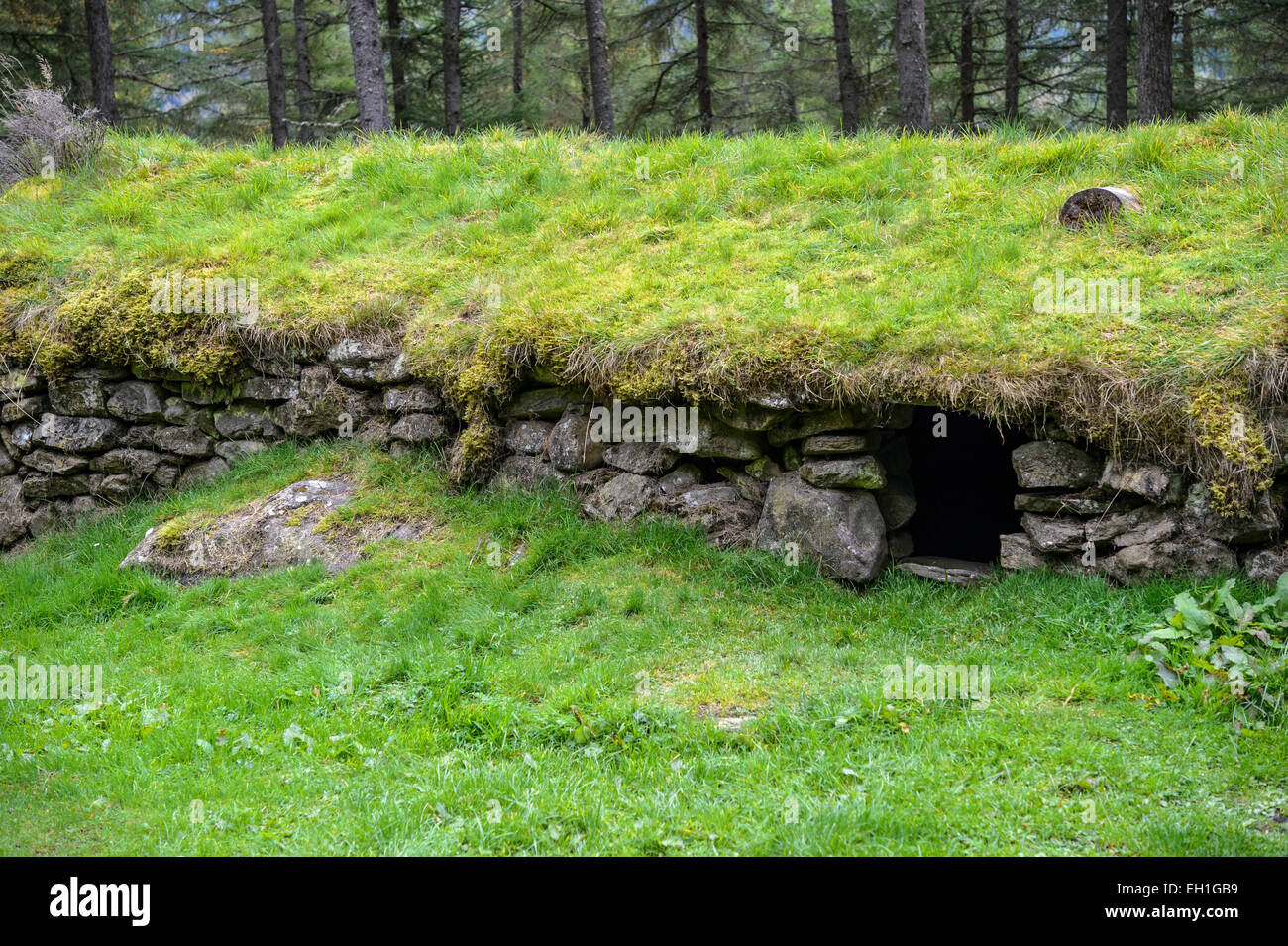Il tetto di erba e vecchio 'door' della parte di Clachan, un abbandonato una rovina del XIX secolo cascina nella foresta di Tay, Scozia. Foto Stock