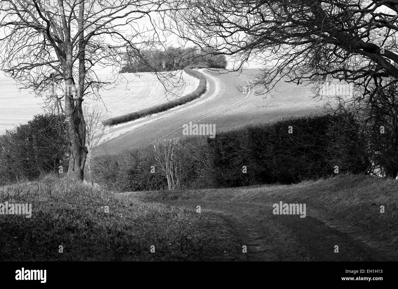 Il Peddar il modo della distanza lungo il percorso nei pressi di Fring in Norfolk. Foto Stock