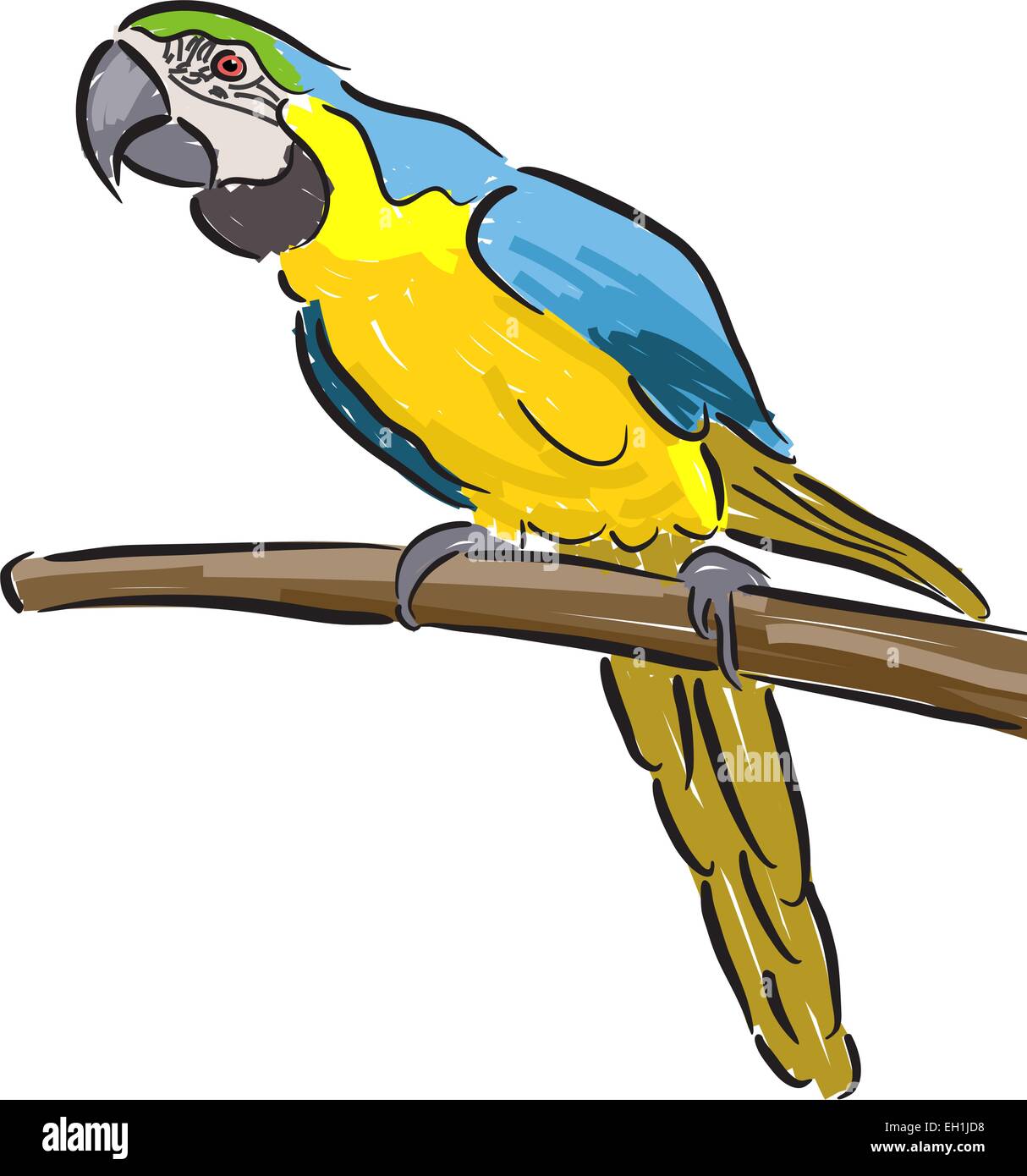 Modificabile illustrazione vettoriale di un macaw pappagallo in feltro stile penna su sfondo bianco Illustrazione Vettoriale