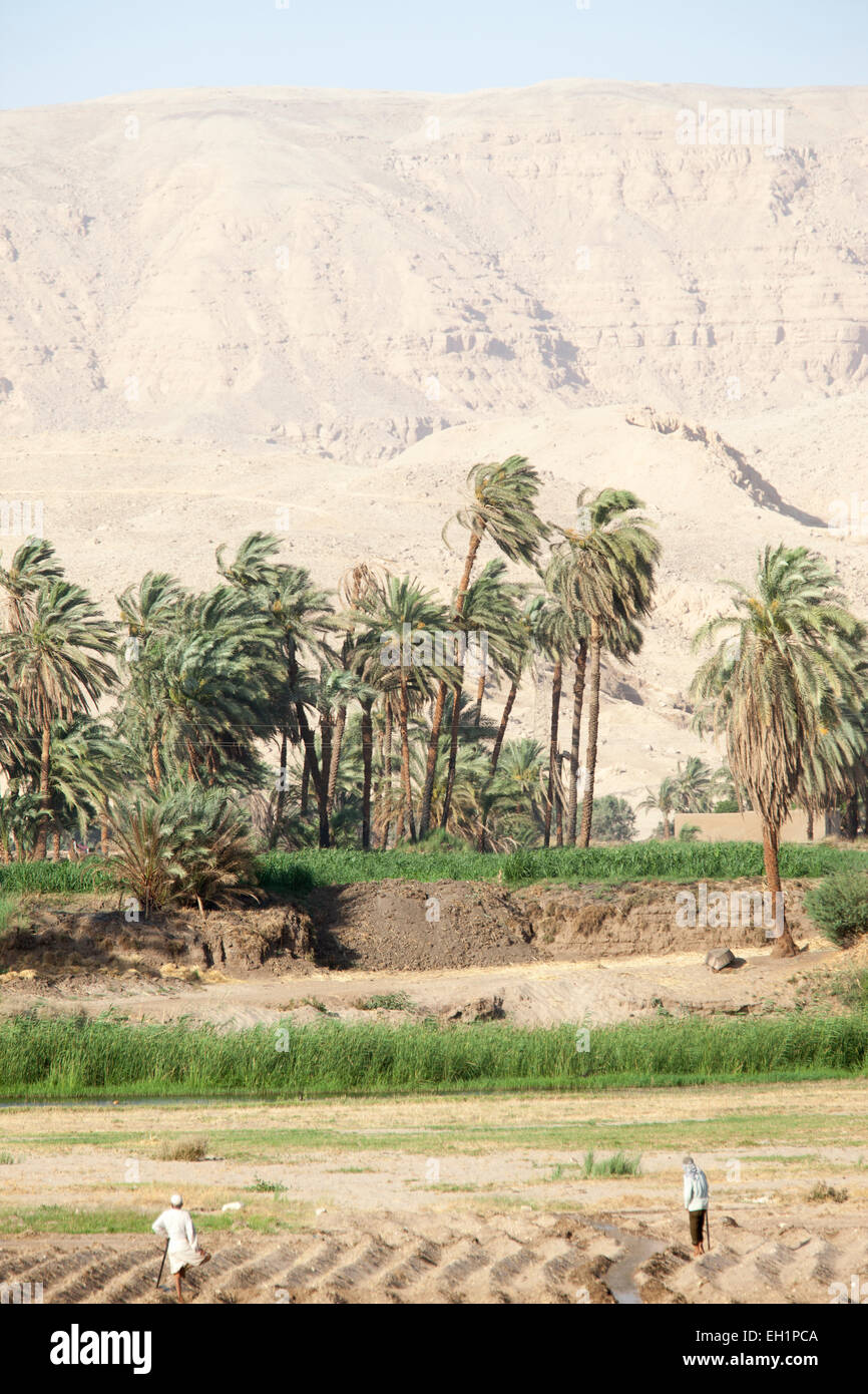 Il Fiume Nilo, Luxor, Egitto. Foto Stock