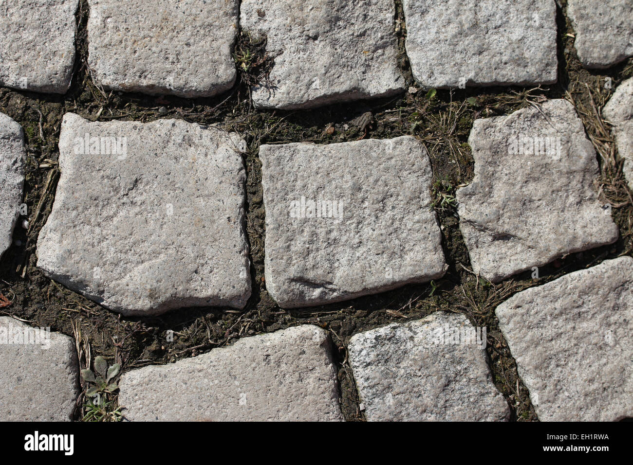 Parte della vecchia strada di pietra, closeup shot. Foto Stock