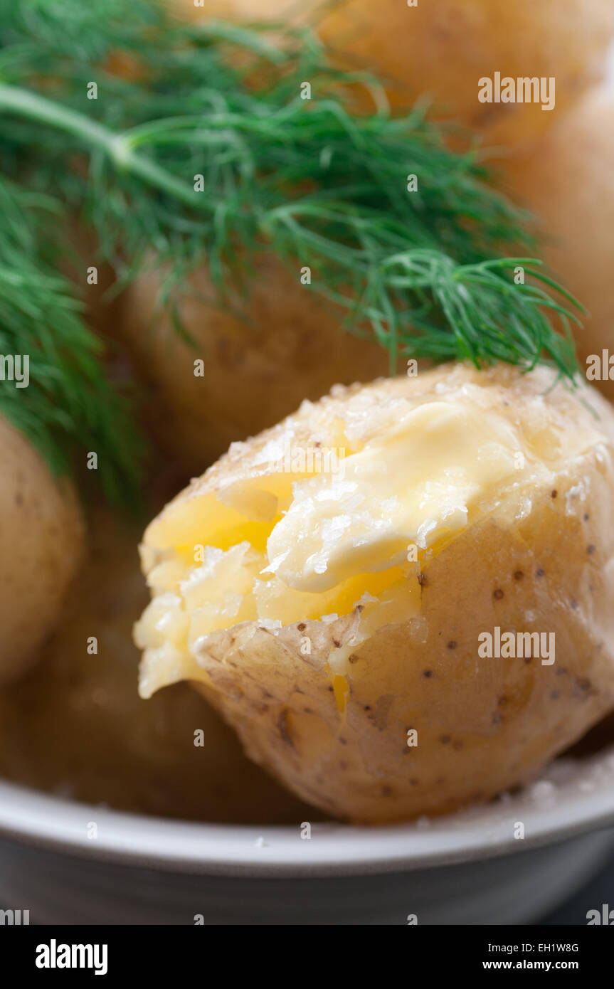 Appena cotte le patate di primizia con burro fuso, sale marino e aneto. Foto Stock