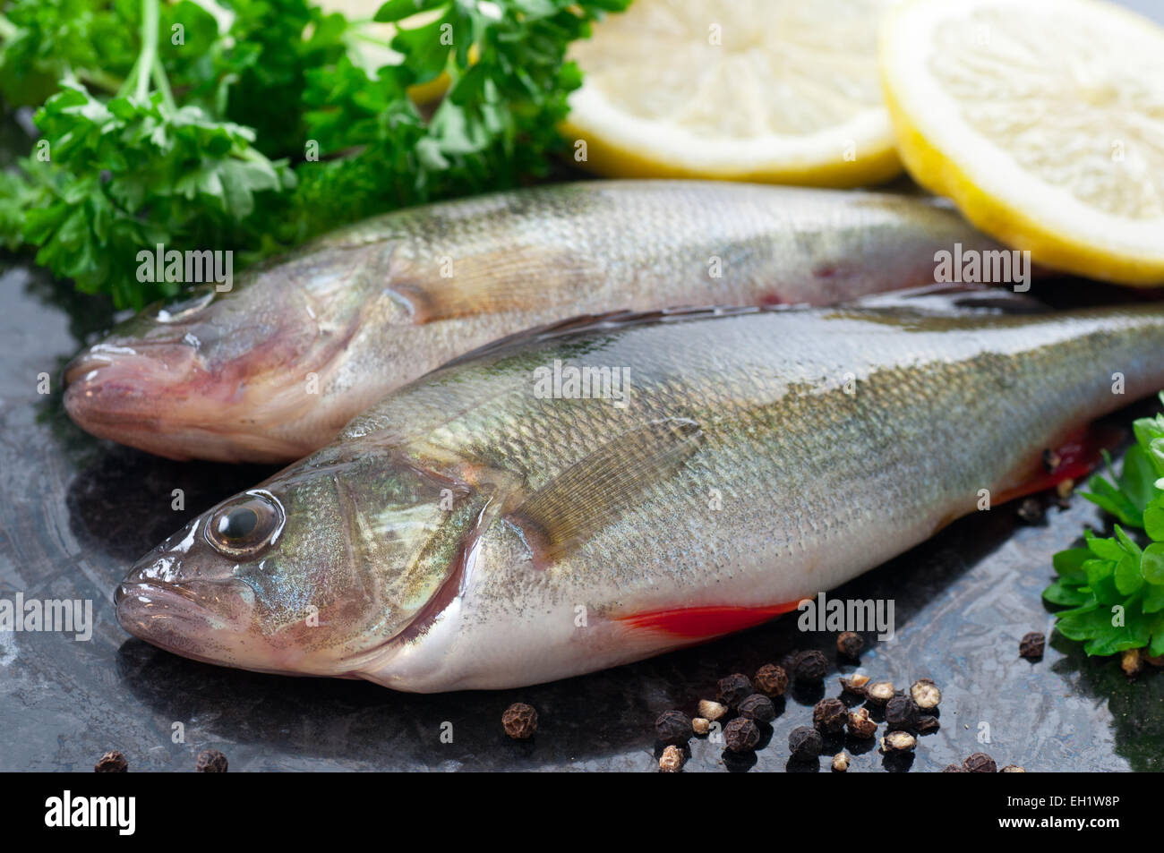 Appena pescato il pesce persico con spezie e ingredienti. Foto Stock