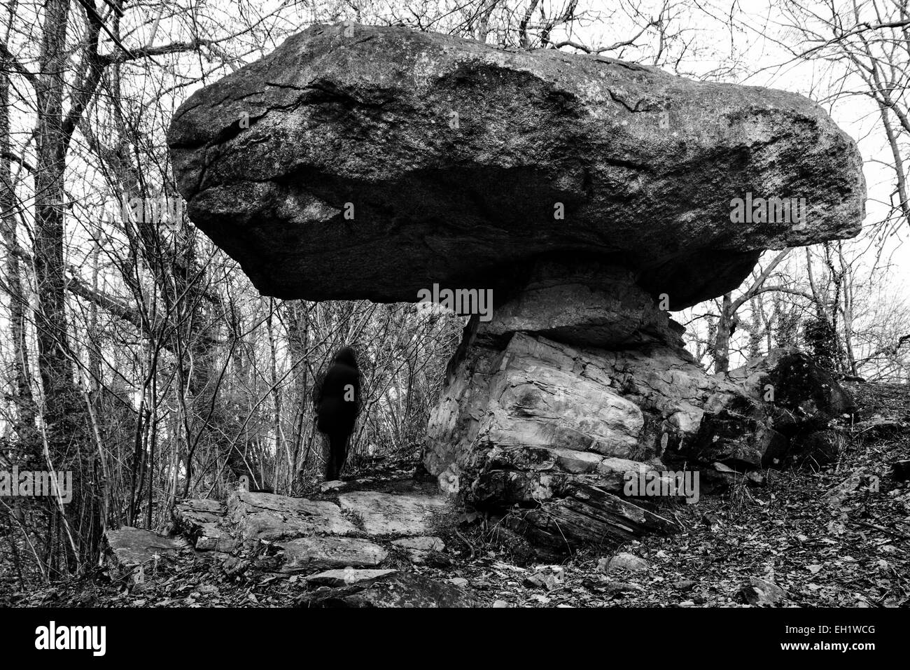 Grande roccia irregolare Foto Stock