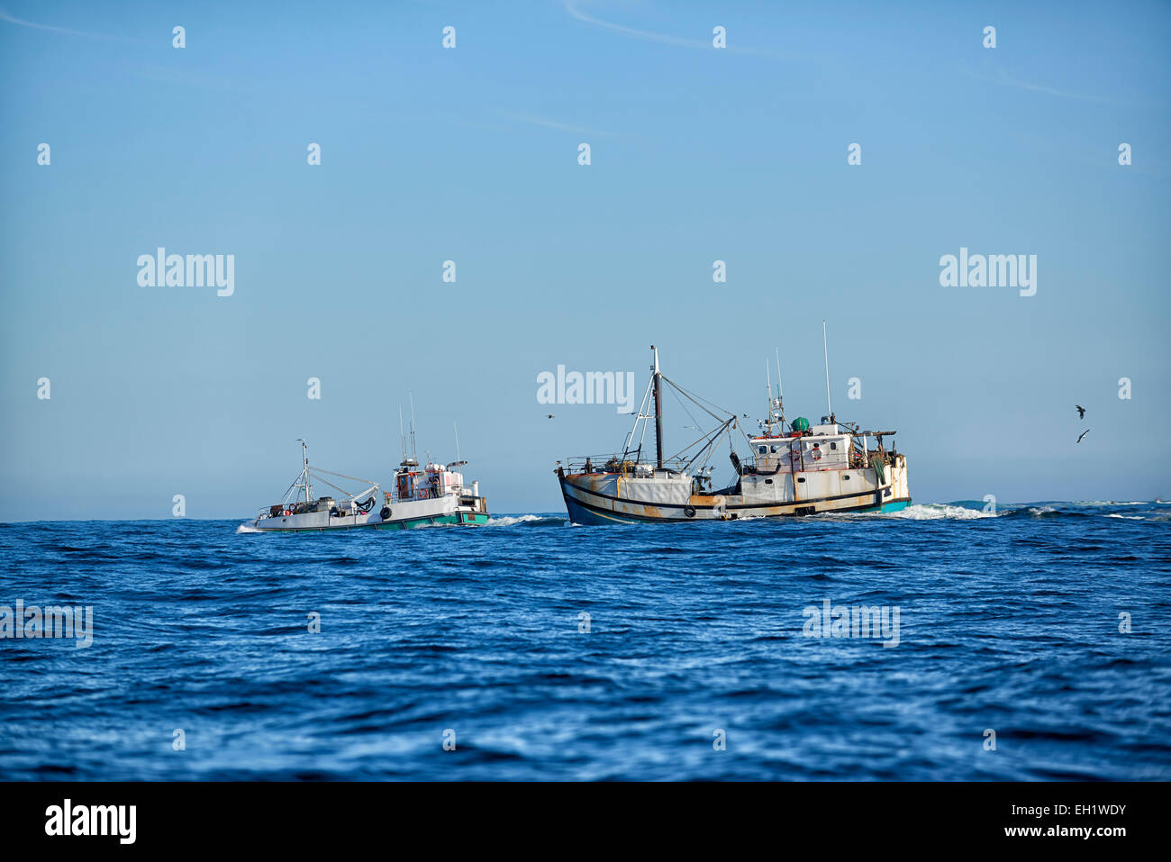Le navi da pesca si esaurisce per andare sulla pesca della sardina, Mossel Bay, Western Cape, Sud Africa Foto Stock