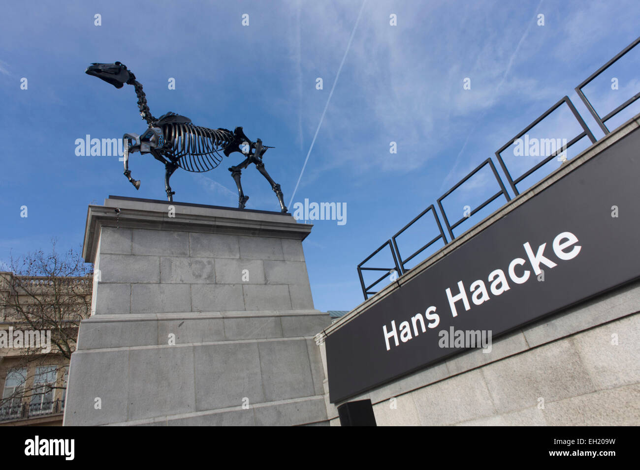 Londra, Regno Unito. 5 Marzo, 2015. La scultura noto come dono cavallo, dall'artista tedesco Hans Haacke, è svelato a Londra in Trafalgar Square su spazio pubblico chiamato il quarto zoccolo. Il sindaco di Londra Boris Johnson ha finanziato il decimo artwork per appaiono qui. Il muscolo scheletrico, riderless horse (derivata dall'Anatomia di un cavallo - George Stubbs, 1766) con una borsa di Londra tickertape è un commento sui consumi di energia e denaro e storia. Credito: RichardBaker/Alamy Live News Foto Stock