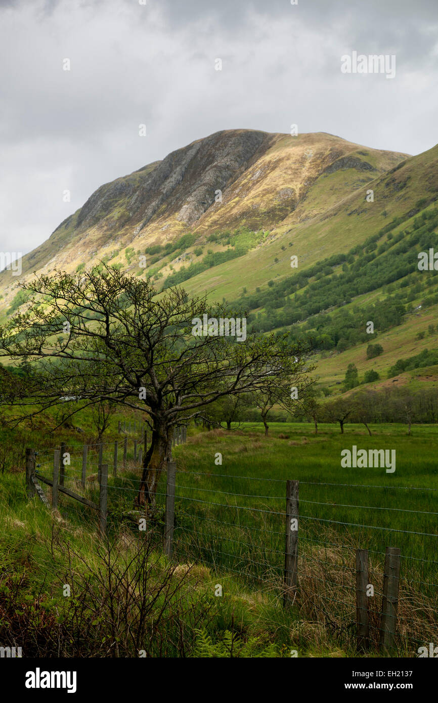 Paesaggio e montagna vicino a Fort William, Scotland, Regno Unito Foto Stock