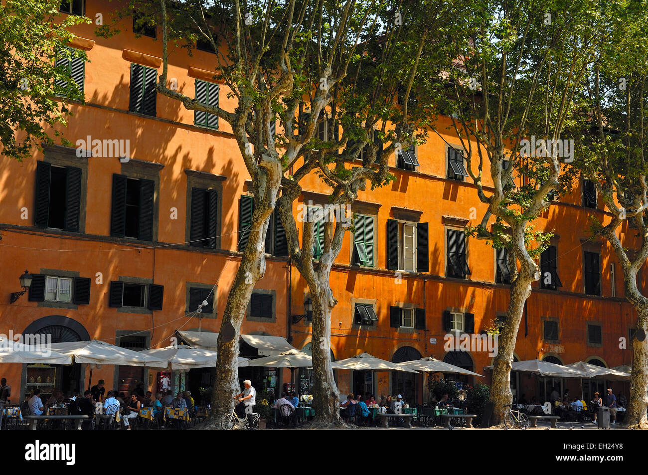 Lucca, Napoleone Piazza Napoleone, Toscana, Italia, Europa Foto Stock