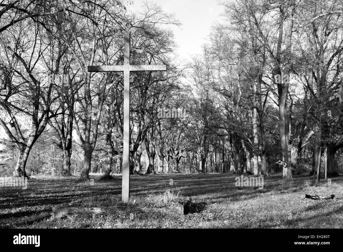 Una fotografia in bianco e nero di un mistico foresta con una croce in primo piano Foto Stock