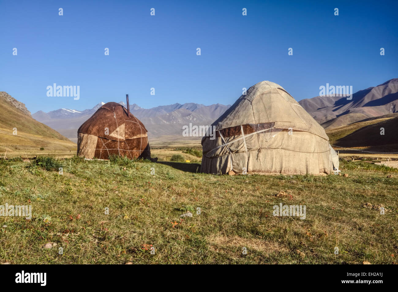 Insediamenti nomadi con yurta su verdi praterie in Kirghizistan Foto Stock