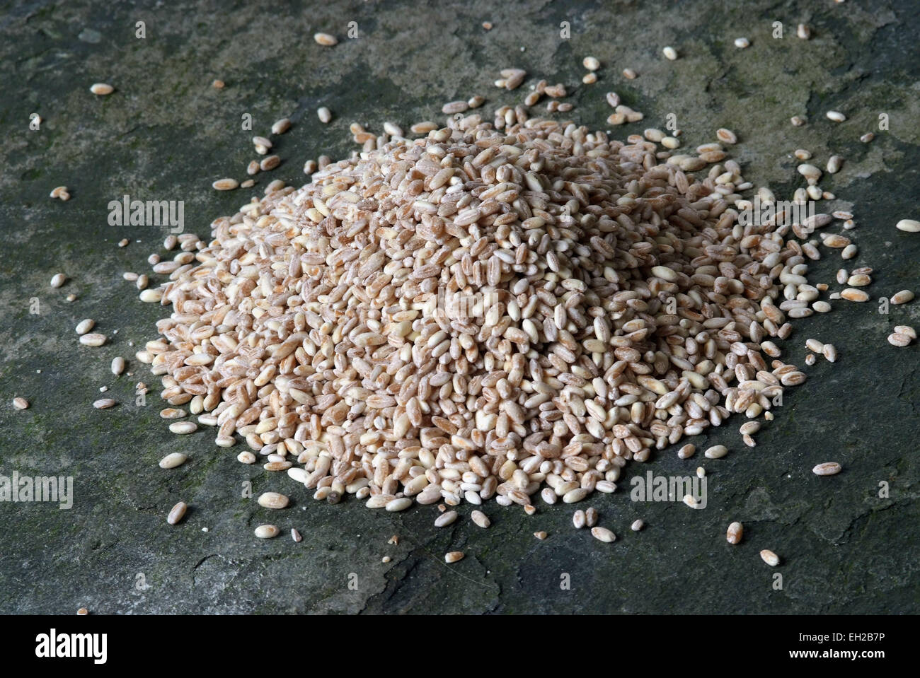 Il farro biologico essendo cresciuto a Sharpham Park Farm,Glastonbury,Somerset,UK che mostra i campi,grani,pane e prodotti. Foto Stock