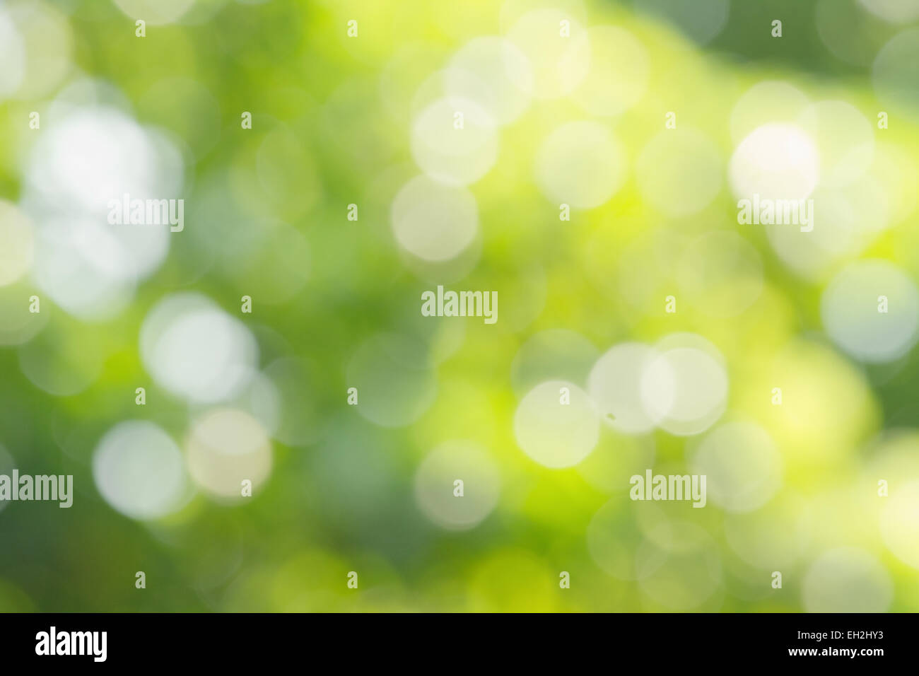 Green bokeh sfondo astratto Foto Stock