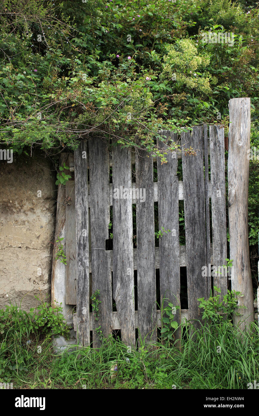 Una porta di legno in una parete ricoperta da alberi in Cotacachi, Ecuador Foto Stock