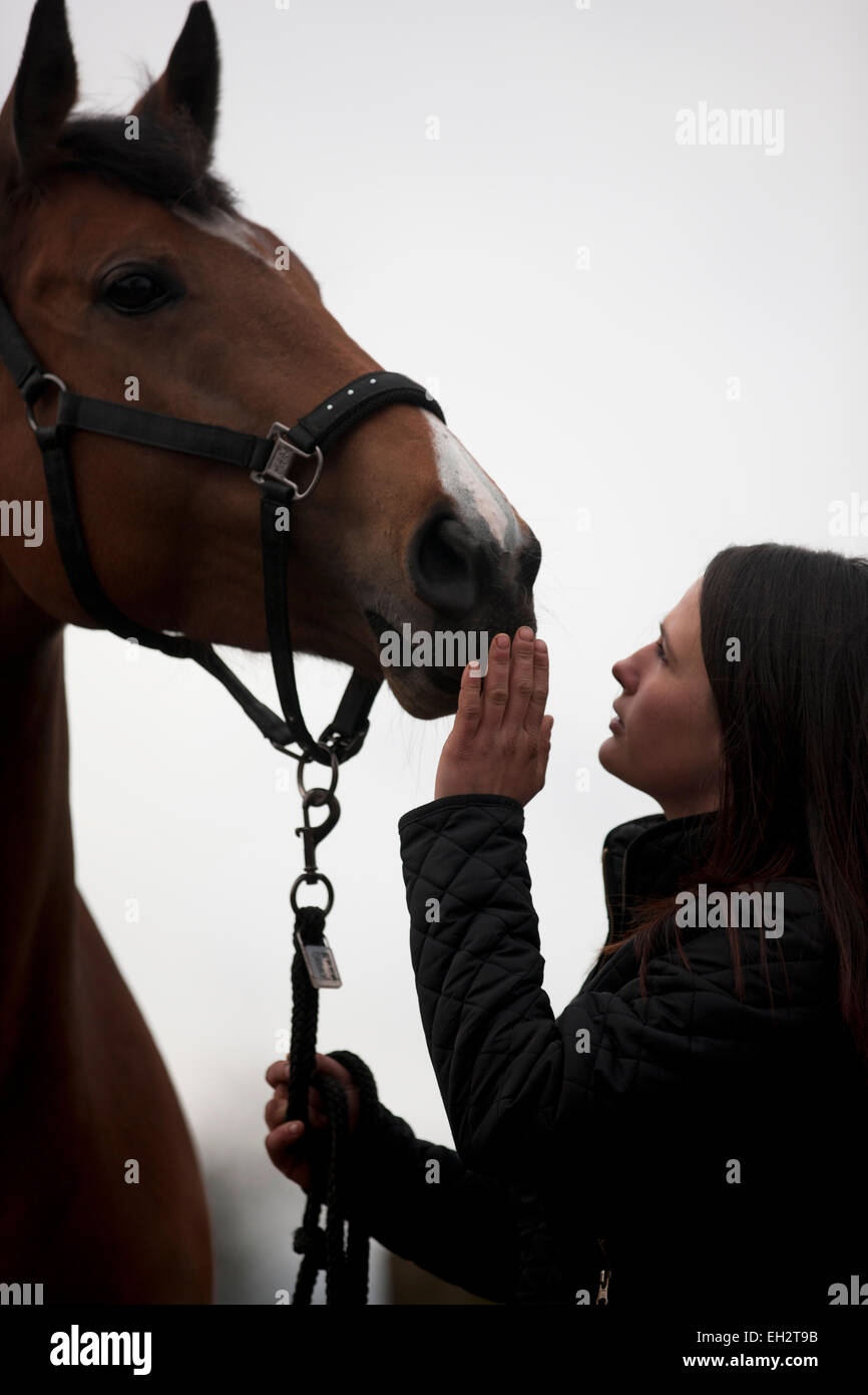 Una giovane donna alla ricerca fino a un cavallo, toccando il suo naso Foto Stock