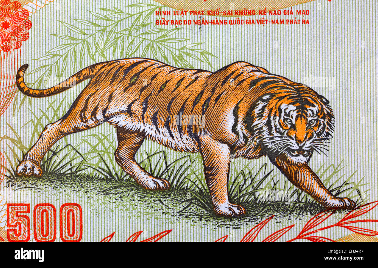 Ringhiando tiger da 500 dong banconota Vietnam del Sud, 1972 Foto Stock