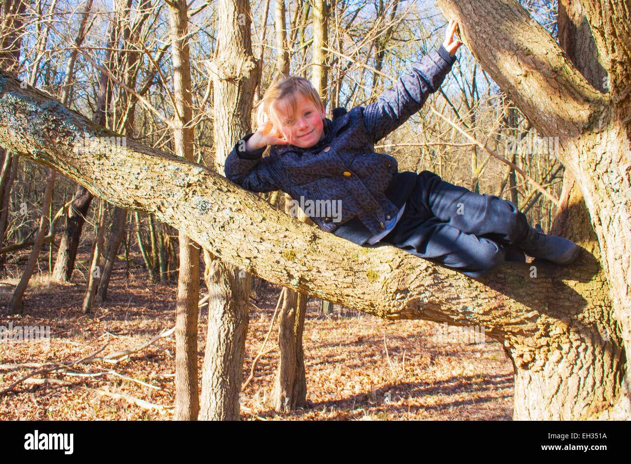 Bambina da sola giacente in una struttura ad albero nella foresta con bleu sky Foto Stock